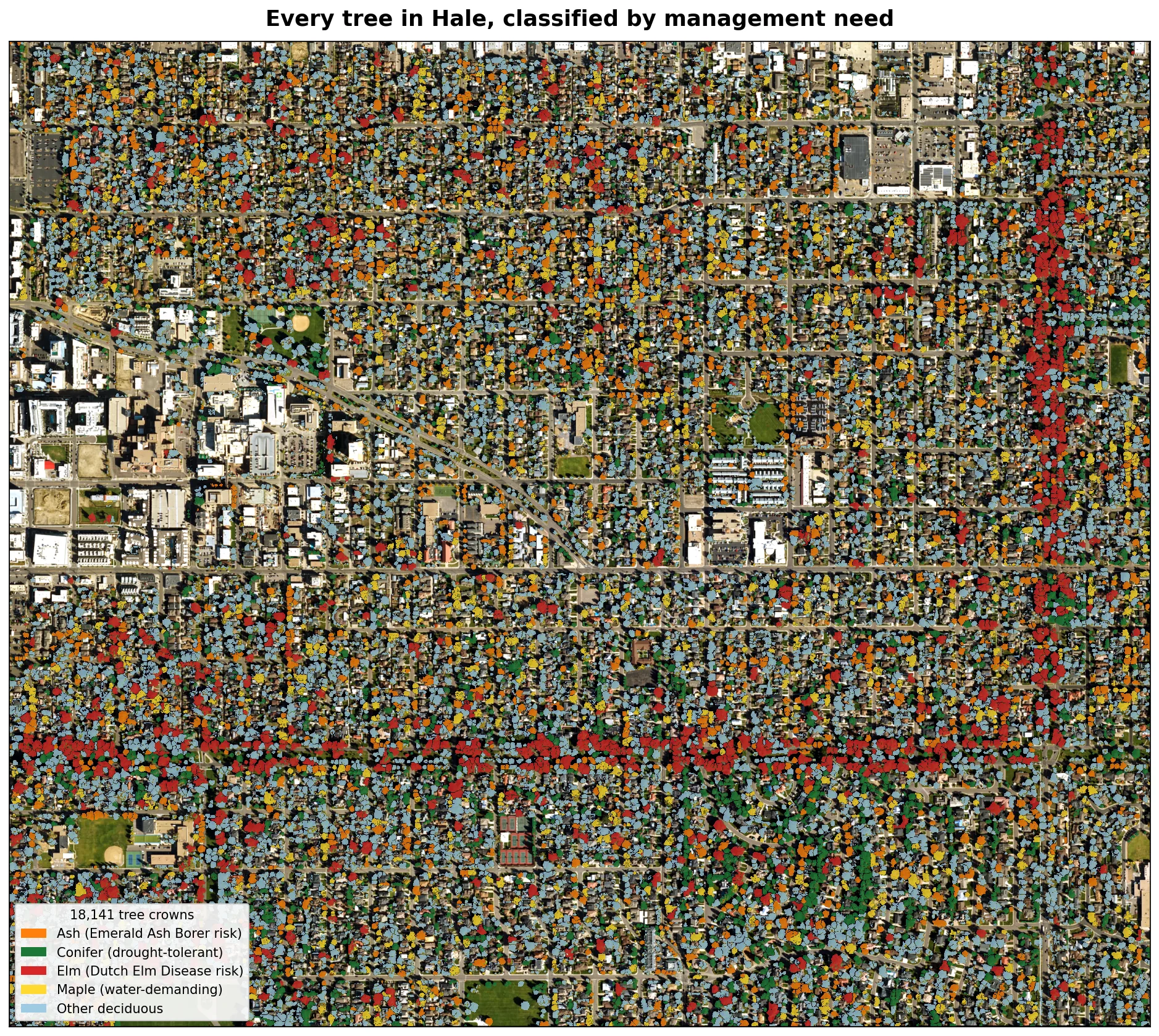 Aerial view of the Hale neighborhood with every tree crown colored by its predicted management class.